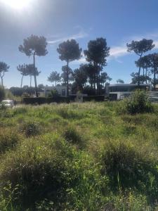 Almada, 세투발 2820-565, 포르투갈