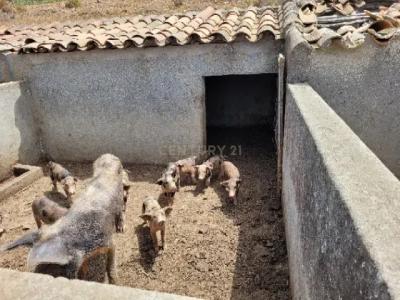 Aljezur, ファロ 8670-138, ポルトガル