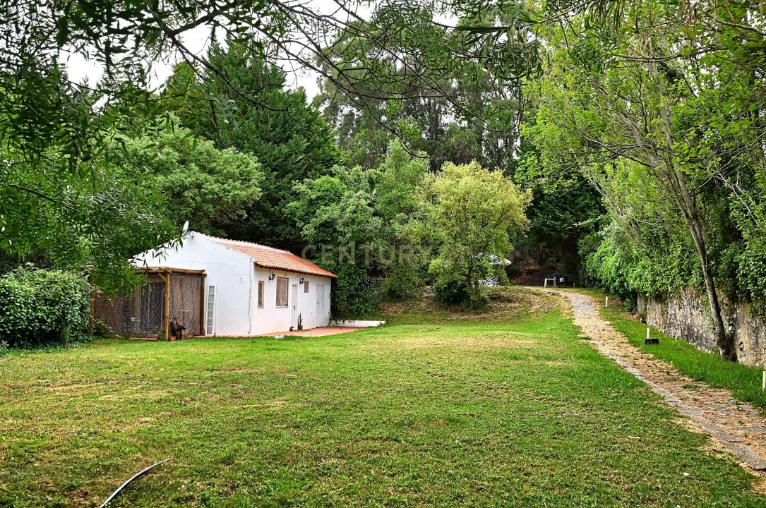 Sintra, Lisbon 2710-329, Portugal