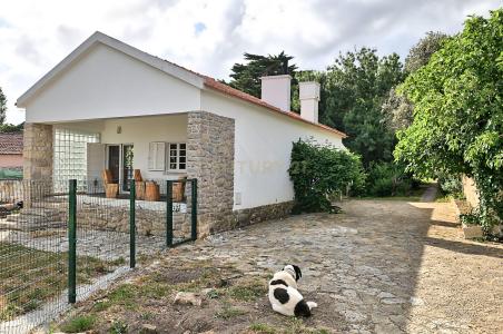 Sintra, Lisbon 2710-329, Portugal