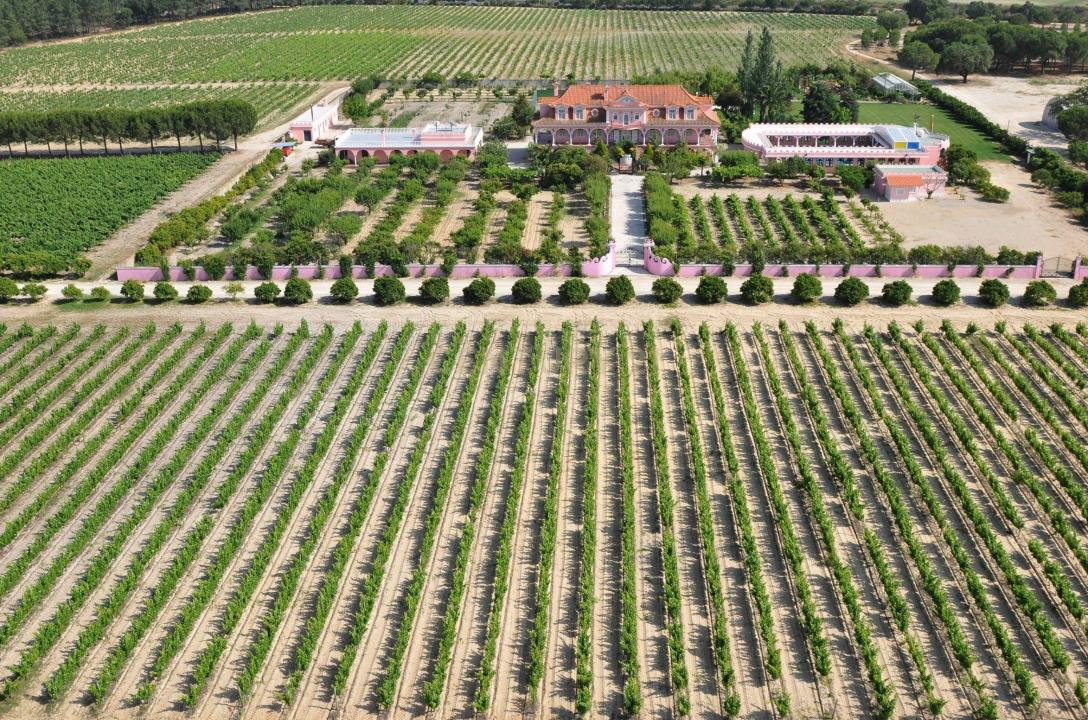 Palmela, 세투발 2965-213, 포르투갈