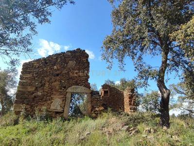 布朗库堡区, 布朗库堡区 6005-150, 葡萄牙