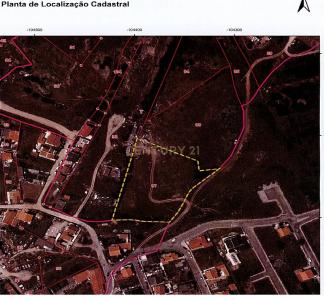 Cascais, 葡京 2785, 葡萄牙