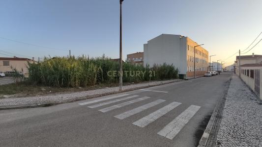 Figueira Da Foz, 科英布拉 3090-380, 葡萄牙