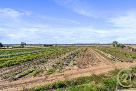 165 Pitt Town Bottoms Road, Pitt Town Bottoms, NSW 2756, Australia