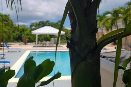 Discovery Bay, Providenciales, Turks E Caicos