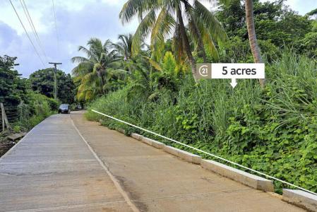 Bailies Bacolet, St.david West Indies, Grenada