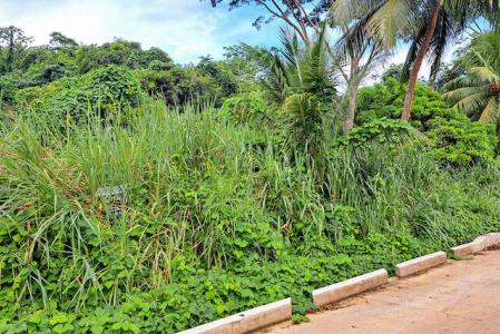 Bailies Bacolet, St.david West Indies, Grenada