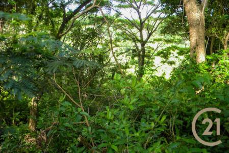 Saint David's, St.david West Indies, Grenada