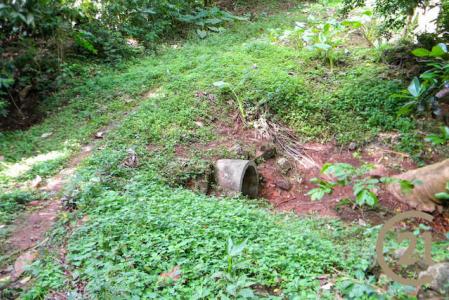 Saint David's, St.david West Indies, Grenada