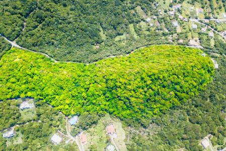 Carriacou West Indies, Grenada