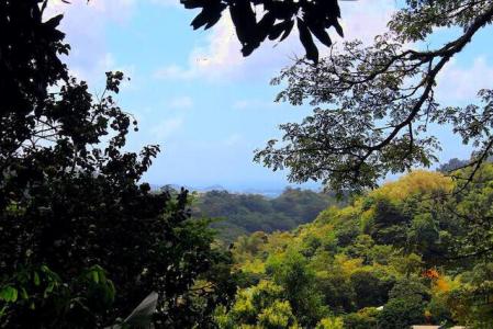 Saint George, St.george West Indies, Grenada