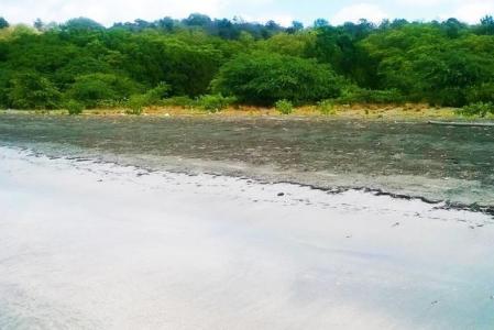 Carriacou West Indies, Grenada