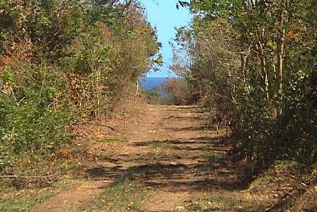 Petit Trou, St.david West Indies, Grenada