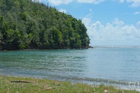 Petit Trou, St.david West Indies, Grenada