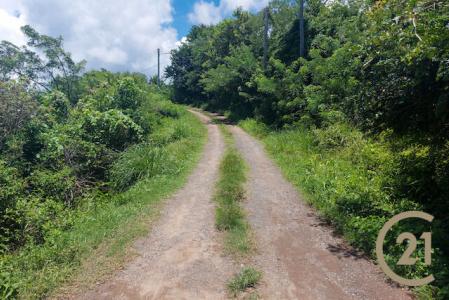 Saint David's, St.david West Indies, Grenada