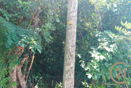 Saint David's, St.david West Indies, Grenada