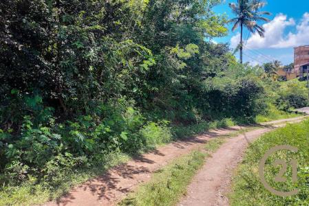Saint David's, St.david West Indies, Grenada