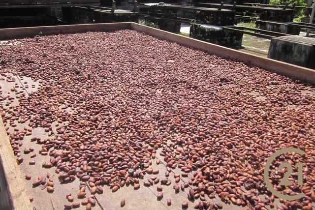 Nonpareil, St.mark West Indies, Granada