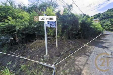 Morne Rouge, St.george West Indies, Гренада