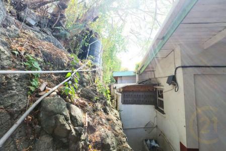 St.george West Indies, 格林納達