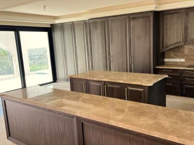 Mesa Geitonia, Cyprus