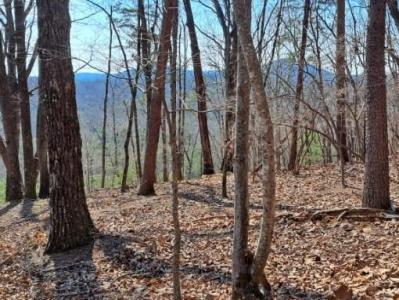 0 Upper Salem Church Road, Jasper, Geórgia 30143, Estados Unidos