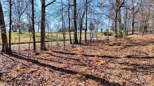 Blairsville, Georgia 30512