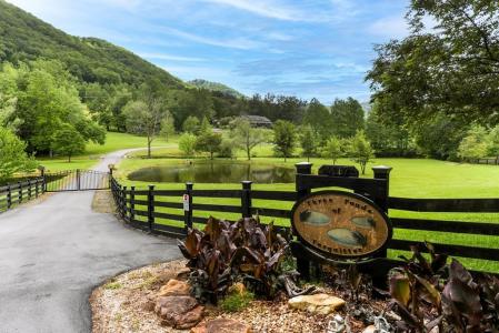4167 Downings Creek Road, Hayesville, North Carolina 28904