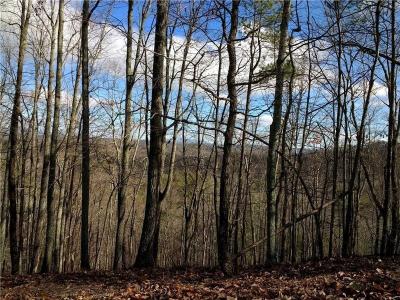 25 Adair Drive Ne, Ranger, Géorgie 30734, États-Unis