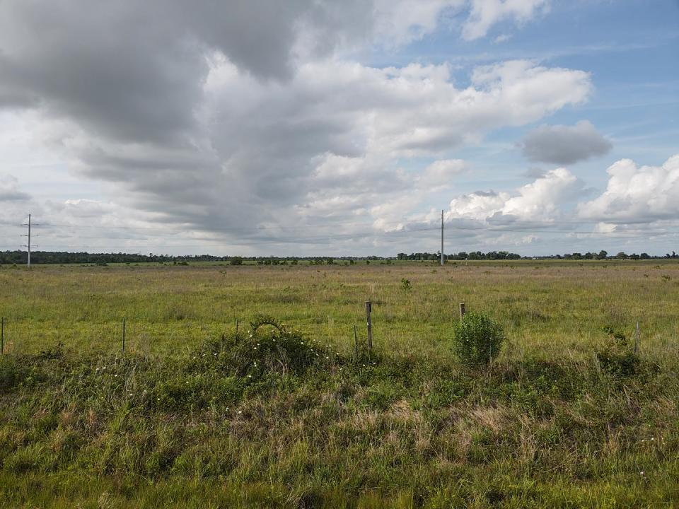 Red Davis Mccollister Rd, Lake Charles, Louisiana 70607