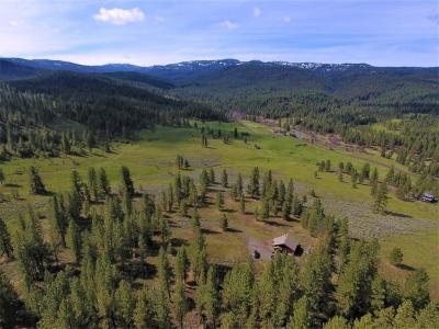 3000 Fish Lake Road, New Meadows, Idaho 83654, HOA KỲ