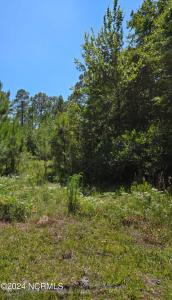 Tr16 Wildwood, Boiling Spring Lakes, NC 28461, USA