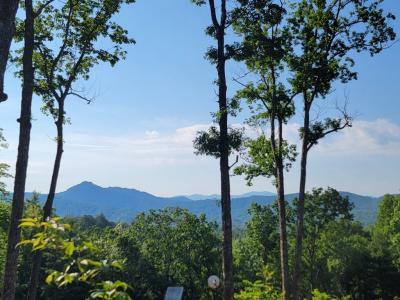 Hillbilly Holler, Hayesville, North Carolina 28904, Stati Uniti