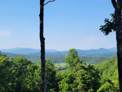Hillbilly Holler, Hayesville, North Carolina 28904, Stati Uniti