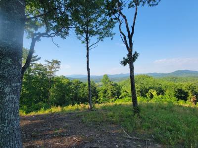 Hillbilly Holler, Hayesville, North Carolina 28904, Stati Uniti