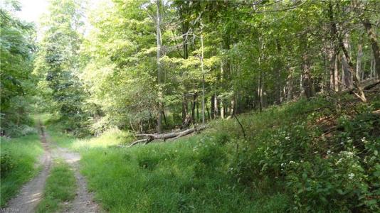 Bryden Rd - Lots 29,30 & 31, Weirton, Zachodnia Wirginia 26062, USA