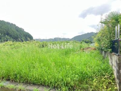 高岡町浦之名4116-3, 宮崎市, Miyazaki 880-2323, Japón