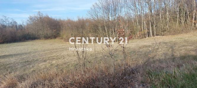 Žminj, Laginji, Žminj, Istarska Županija 52341, 克羅地亞