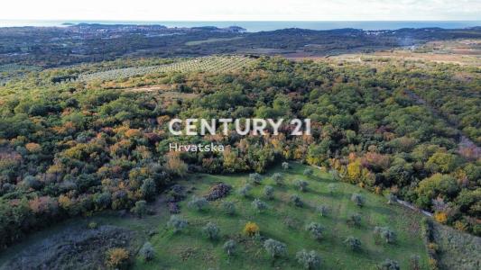 Rovinj, Rovinj, Istarska Županija 52210, Croatia