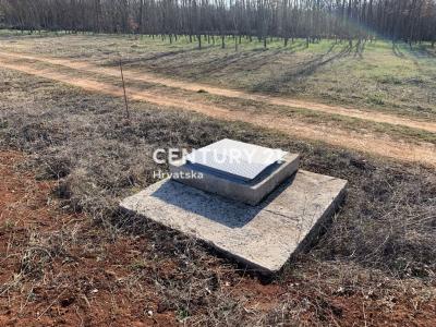 Poreč, Žbandaj, Poreč, Istarska Županija 52440, Croatia