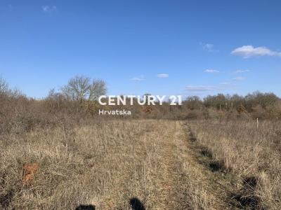 Poreč, Žbandaj, Poreč, Istarska Županija 52440, Croatia