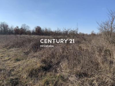 Poreč, Žbandaj, Poreč, Istarska Županija 52440, Croatia