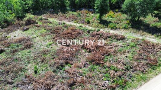 Sveti Lovreč, Sveti Lovreč, Istarska Županija 52448, Croazia