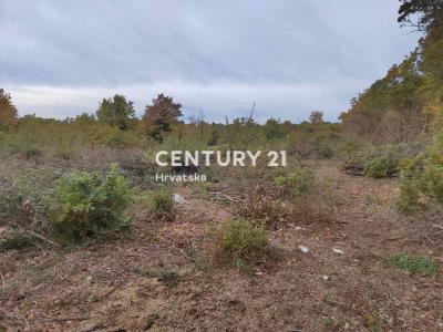 Sveti Lovreč, Sveti Lovreč, Istarska Županija 52448, Croazia