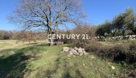 Sveti Lovreč, Sveti Lovreč, Istarska Županija 52352, Croazia