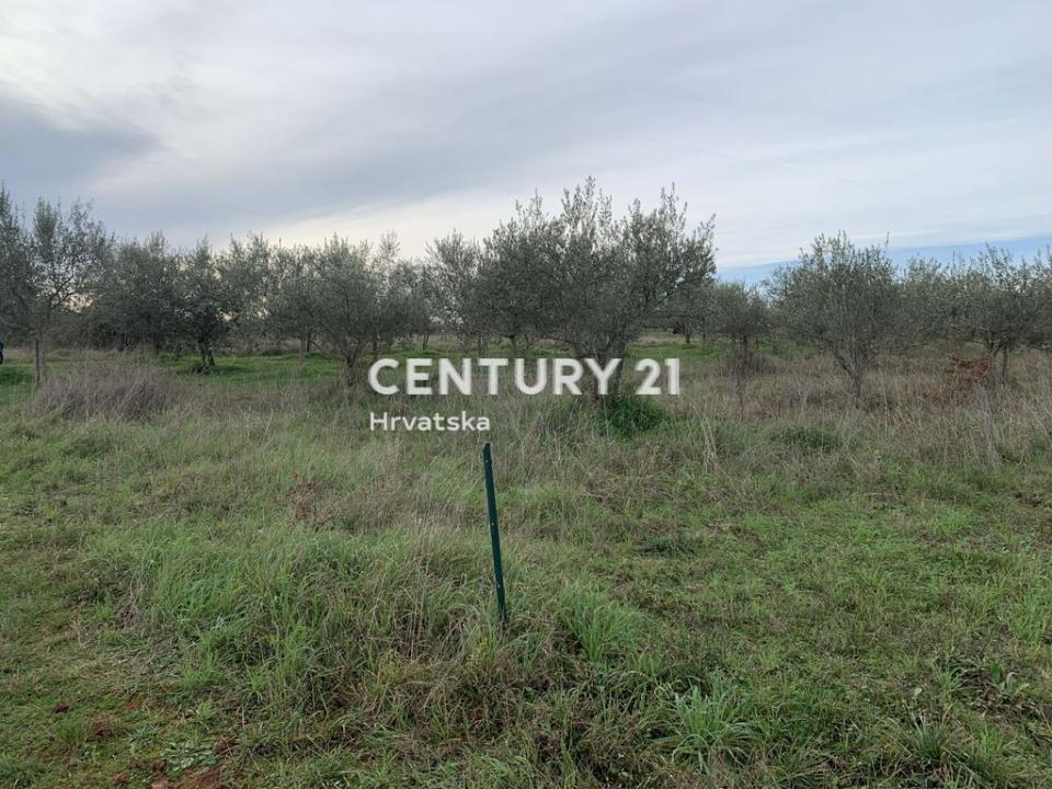 Umag, Petrovija, Umag, Istarska Županija 52470, Croatia