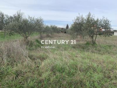 Umag, Petrovija, Umag, Istarska Županija 52470, Croatia