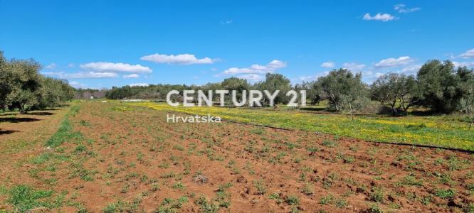 Biograd na Moru, Biograd Na Moru, Zadarska Županija 23210, Croacia