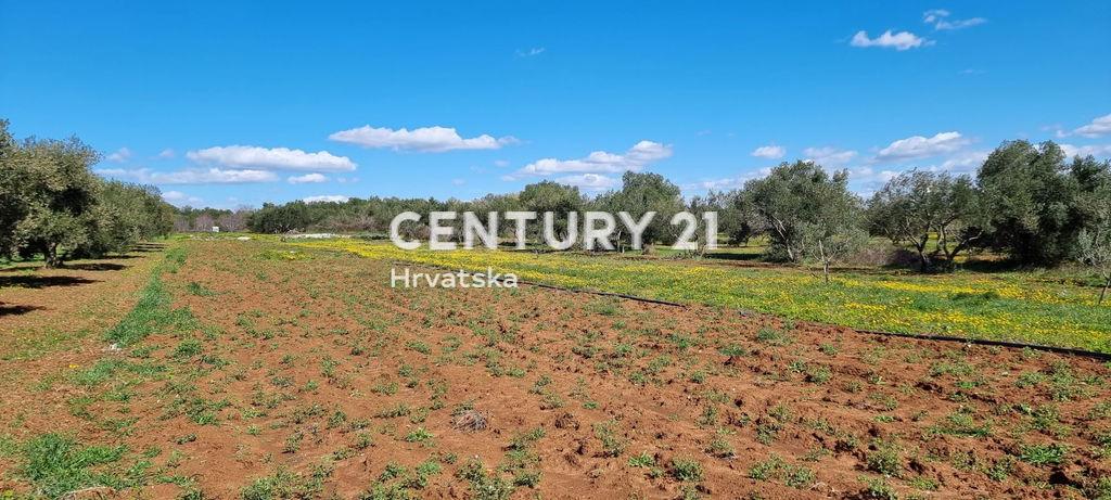 Biograd na Moru, Biograd Na Moru, Zadarska Županija 23210, Croacia